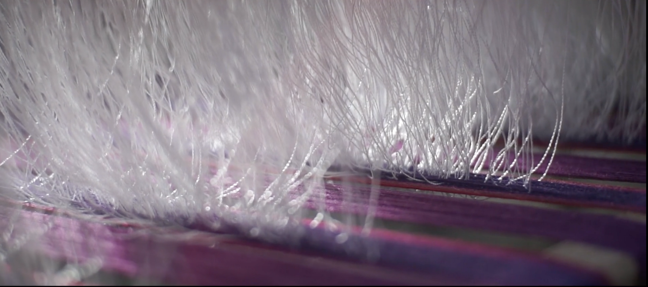 Weaving Knowledge: Looms of Banraijaisook